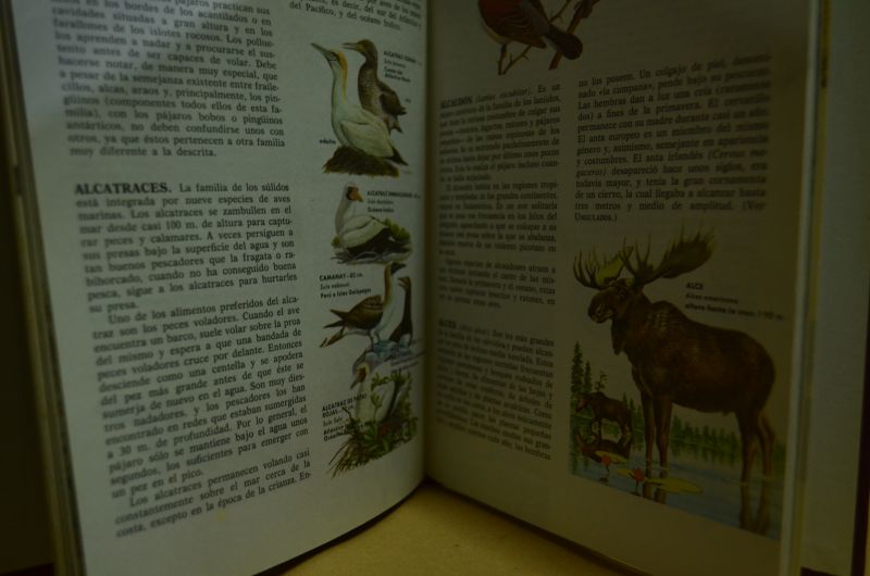 Enciclopedia de Ciencias Naturales Bruguera (12 Tomos)