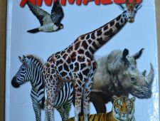 Libro visual de Animales