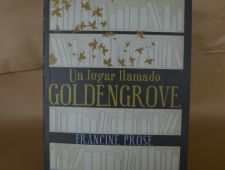 Un lugar llamado Goldengrove